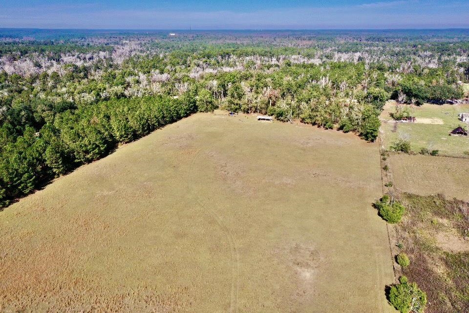 5470 Sycamore Road Quincy, FL 32351 - Photo 5 of 14 Gallery Image 5