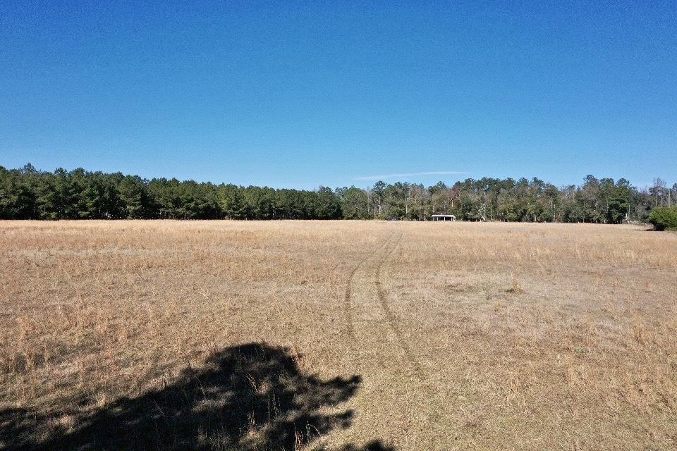 5470 Sycamore Road Quincy, FL 32351 - Photo 6 of 14 Gallery Image 6