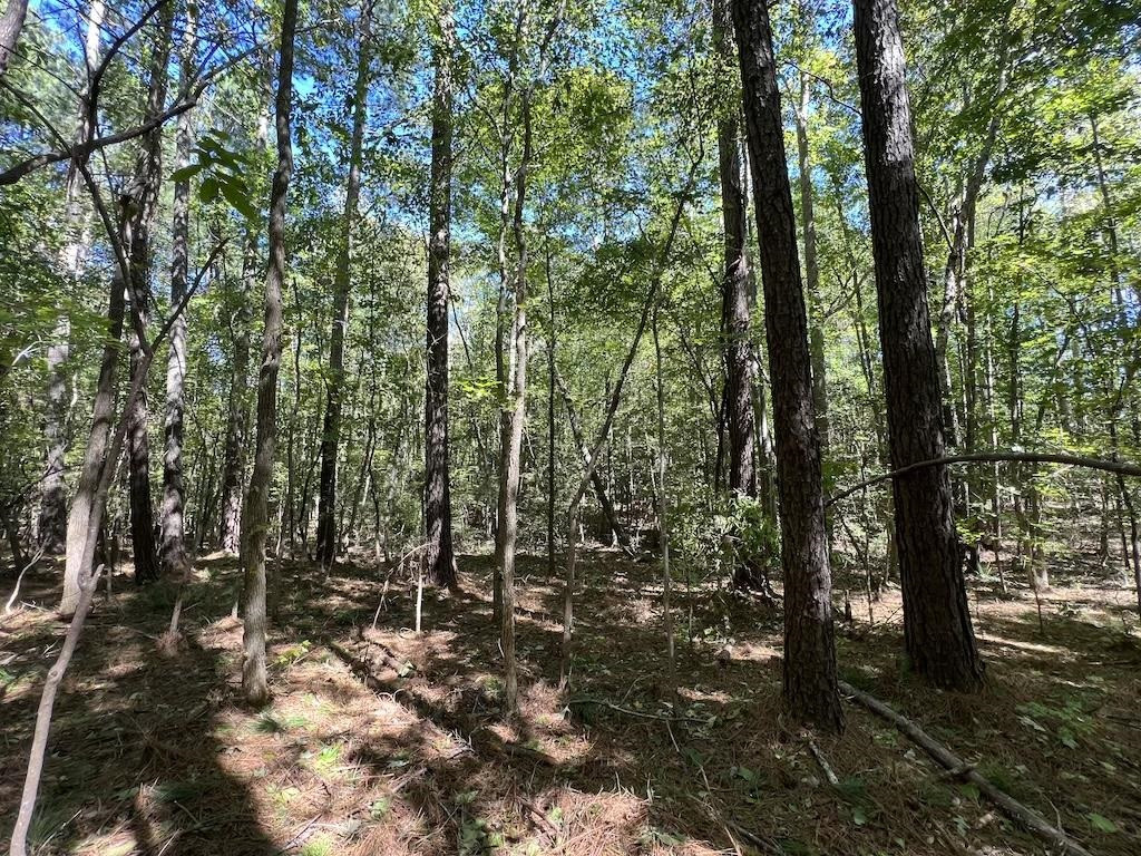 1 Sims Bridge Road Kittrell, NC 27544 - Photo 8 of 30 Photo 8