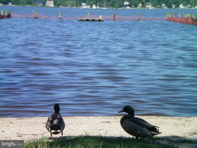 $589,990 | 1302 Spruce Street, Shady Side, MD 20764