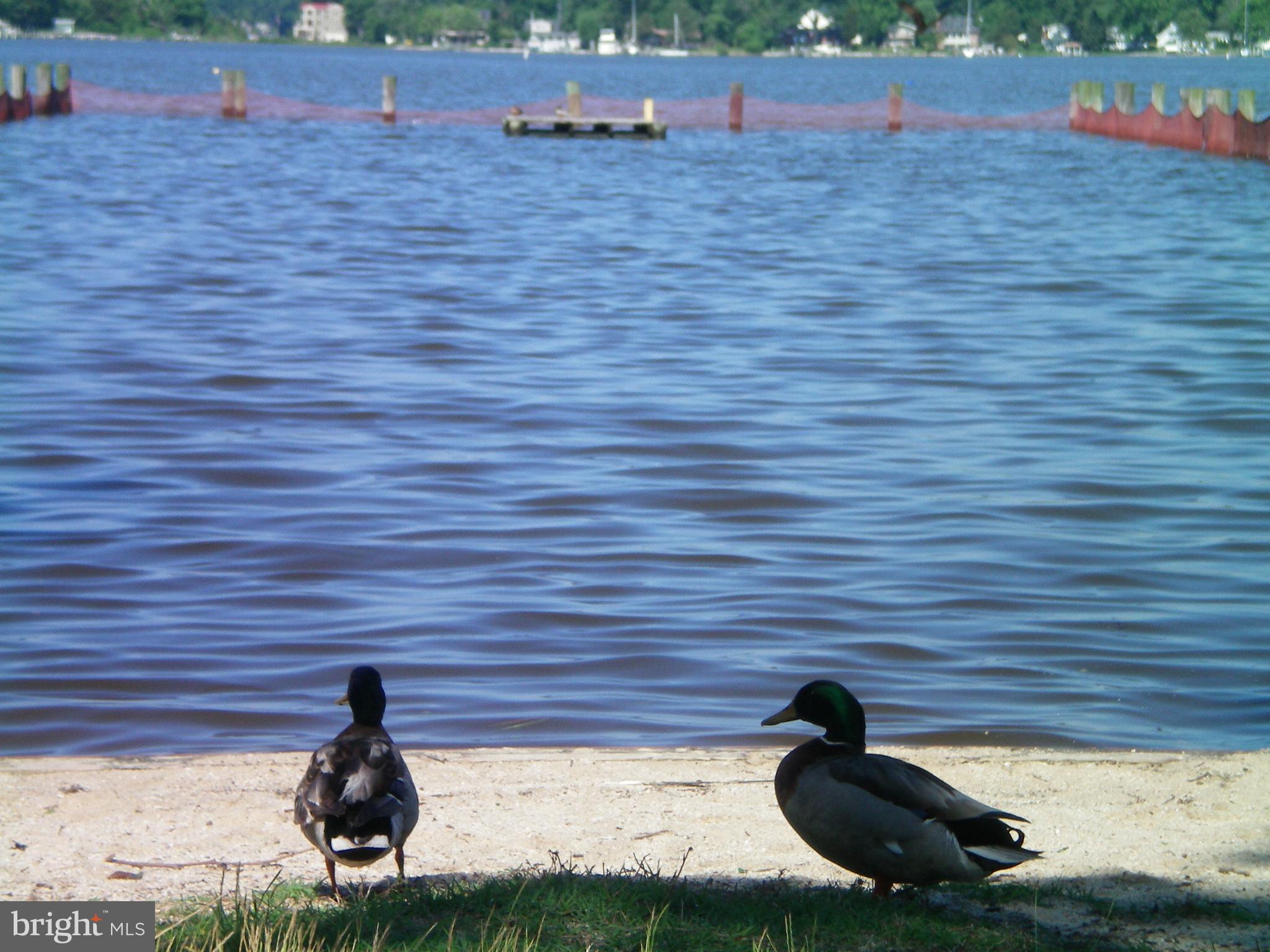 1302 Spruce Street Shady Side, MD 20764 - Photo 41 of 44