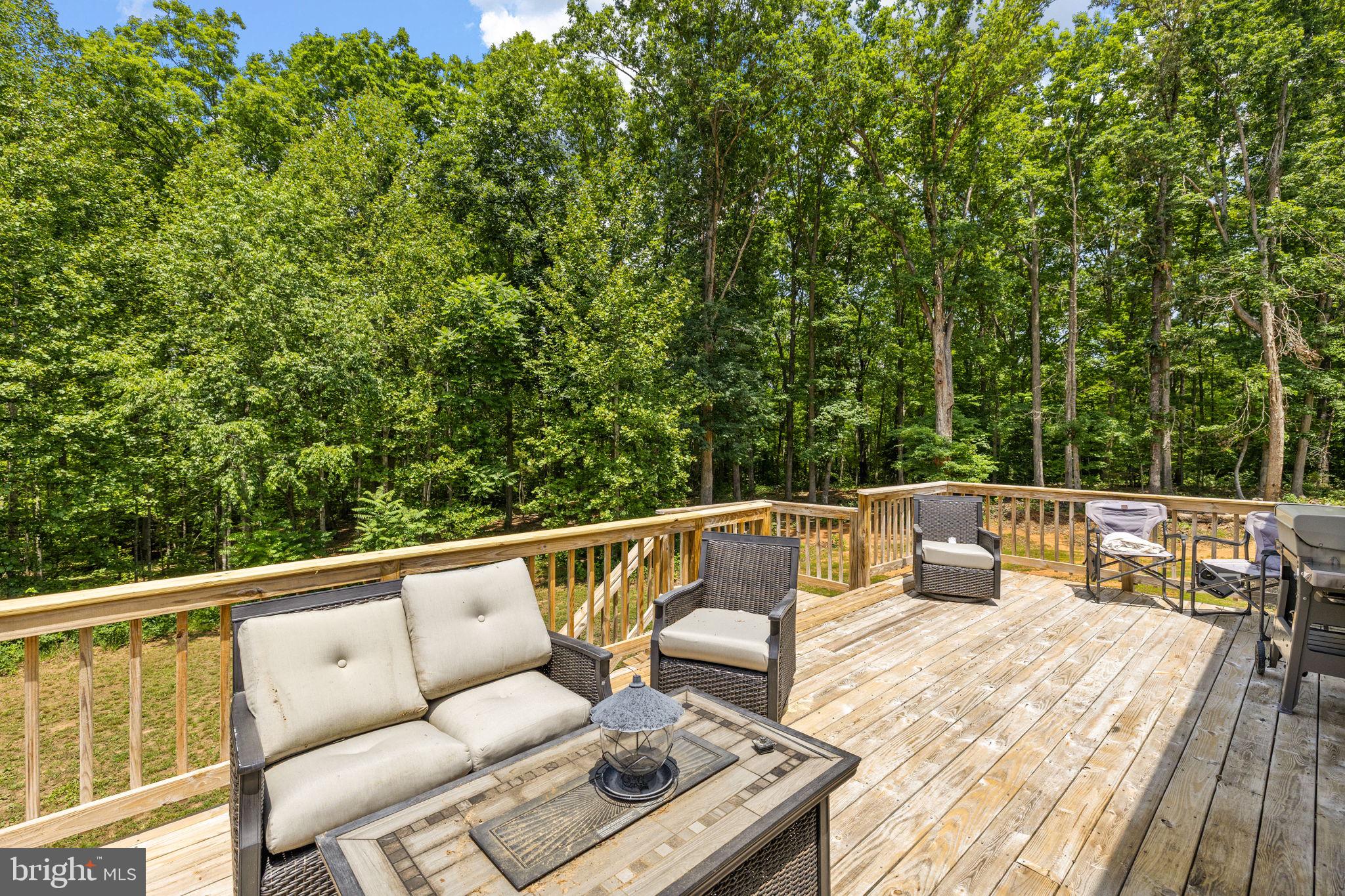 1271 Apple Grove Road Mineral, VA 23117 - Photo 85 of 91