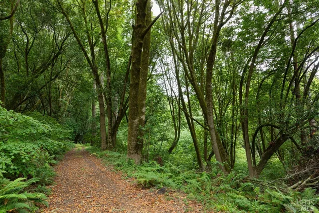 $1,695,000 | 70 Fox Drive, Point Reyes Station, CA 94956