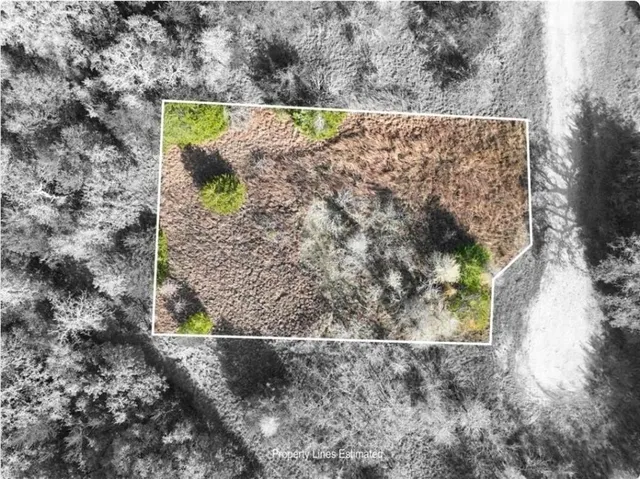 $21,900 | Tbd Shoreline Drive, Somerville, TX 77879