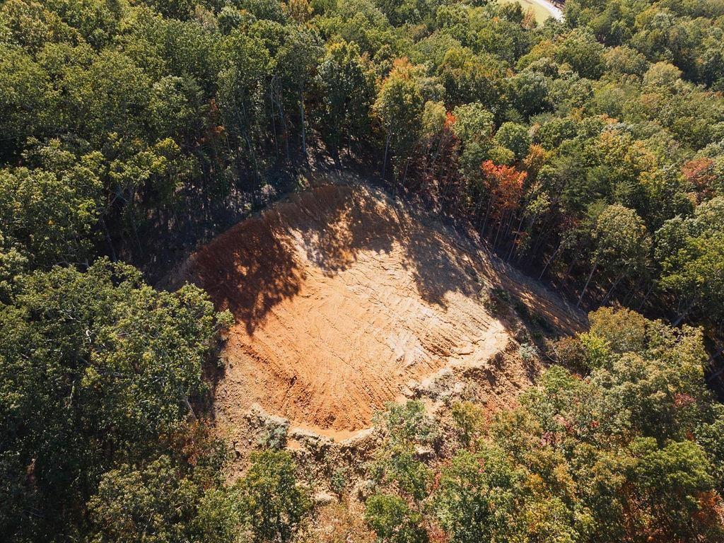 34 East Heritage Drive Rydal, GA 30171 - Photo 11 of 27 a view of a yard with a tree