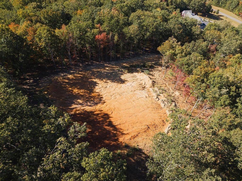 34 East Heritage Drive Rydal, GA 30171 - Photo 12 of 27 a view of a yard with trees
