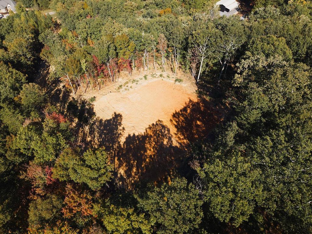 34 East Heritage Drive Rydal, GA 30171 - Photo 13 of 27 a view of a tree in a yard