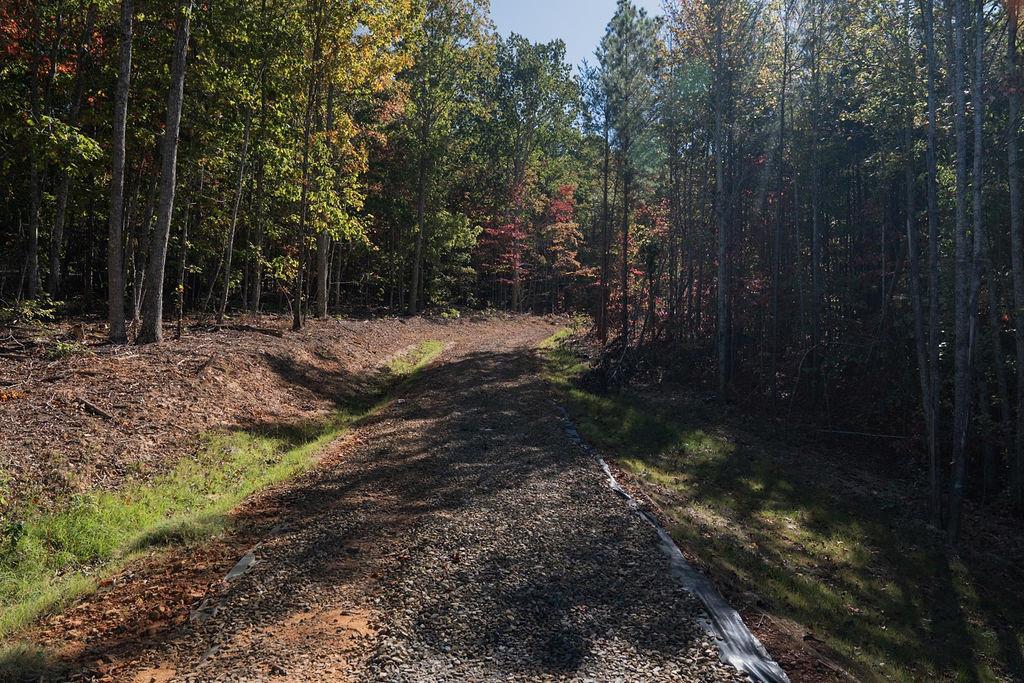 34 East Heritage Drive Rydal, GA 30171 - Photo 19 of 27 a view of a yard with trees