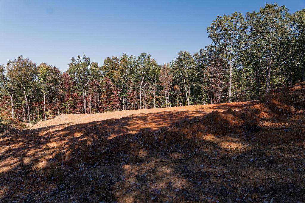 34 East Heritage Drive Rydal, GA 30171 - Photo 20 of 27 a view of outdoor space with green space