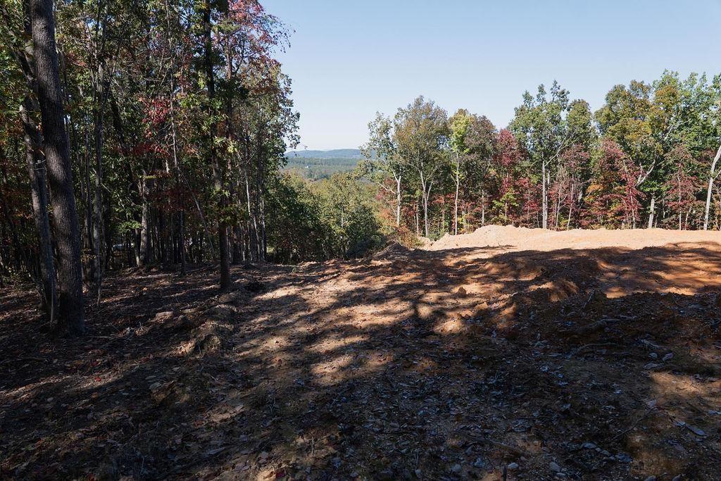 34 East Heritage Drive Rydal, GA 30171 - Photo 2 of 27 a view of outdoor space with trees