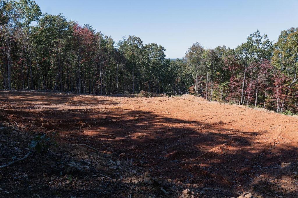 34 East Heritage Drive Rydal, GA 30171 - Photo 21 of 27 a view of road with trees