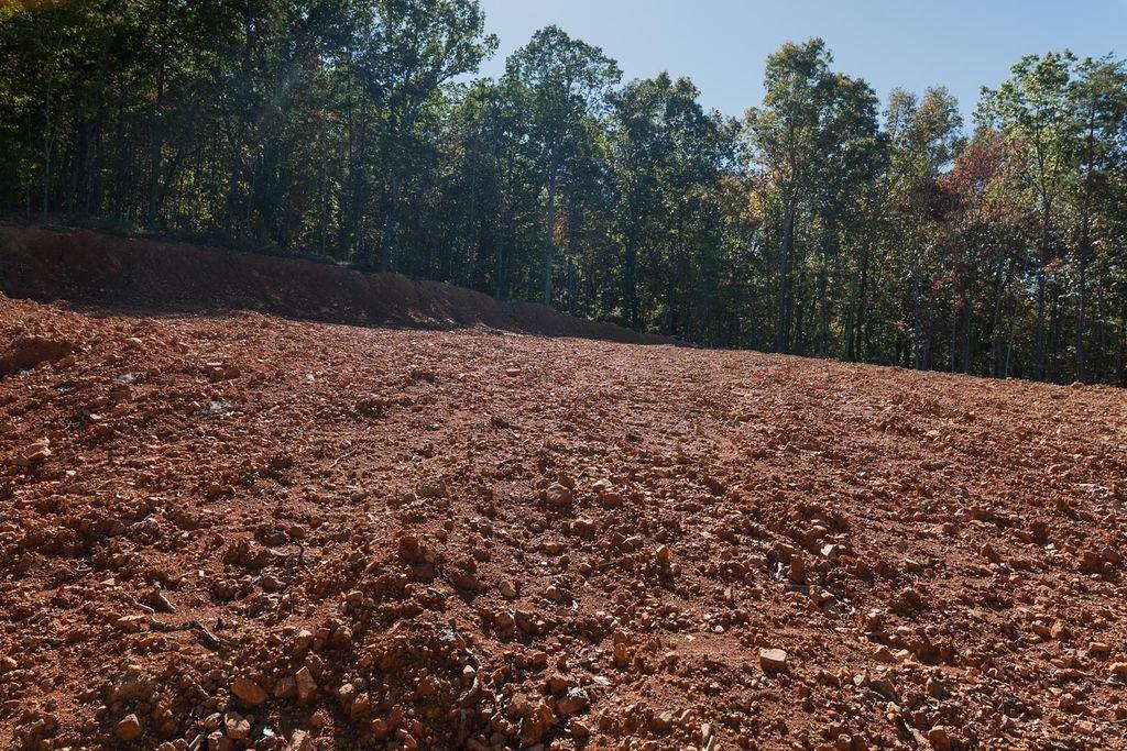 34 East Heritage Drive Rydal, GA 30171 - Photo 23 of 27 a view of a yard
