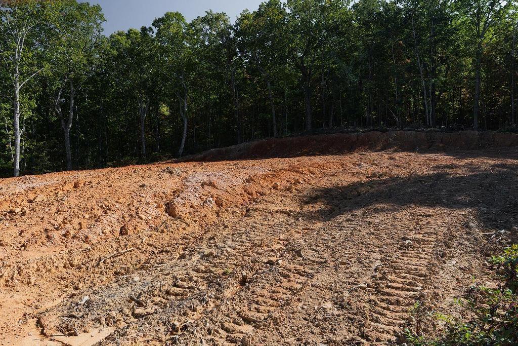 34 East Heritage Drive Rydal, GA 30171 - Photo 24 of 27 a backyard of a house with large trees