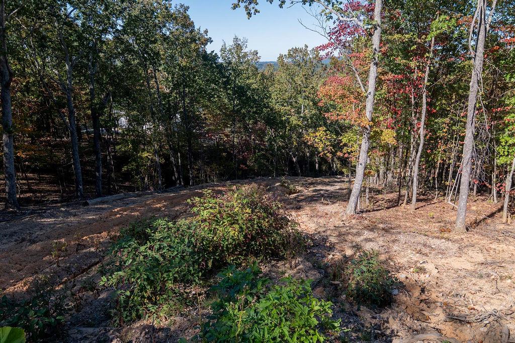 34 East Heritage Drive Rydal, GA 30171 - Photo 25 of 27 a backyard of a house with lots of green space