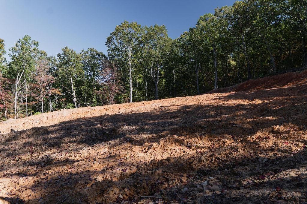 34 East Heritage Drive Rydal, GA 30171 - Photo 26 of 27 a view of a yard with a tree