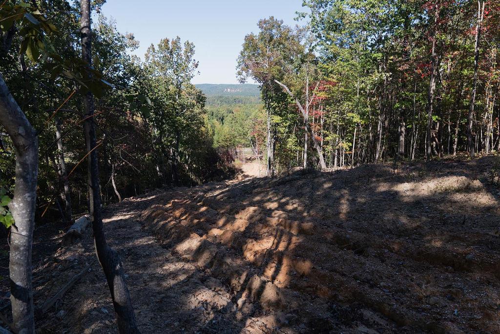 34 East Heritage Drive Rydal, GA 30171 - Photo 3 of 27 a view of outdoor space and yard