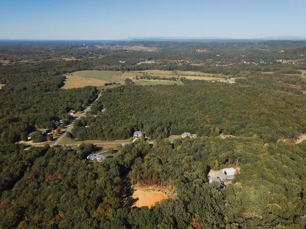 a view of a forest with mountains in the background