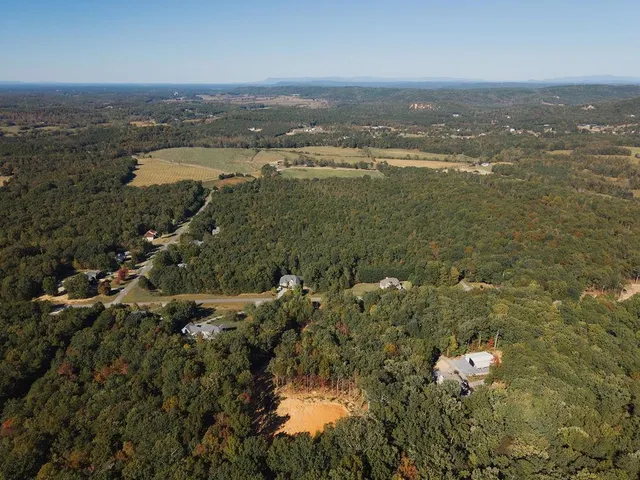 a view of a forest with mountains in the background