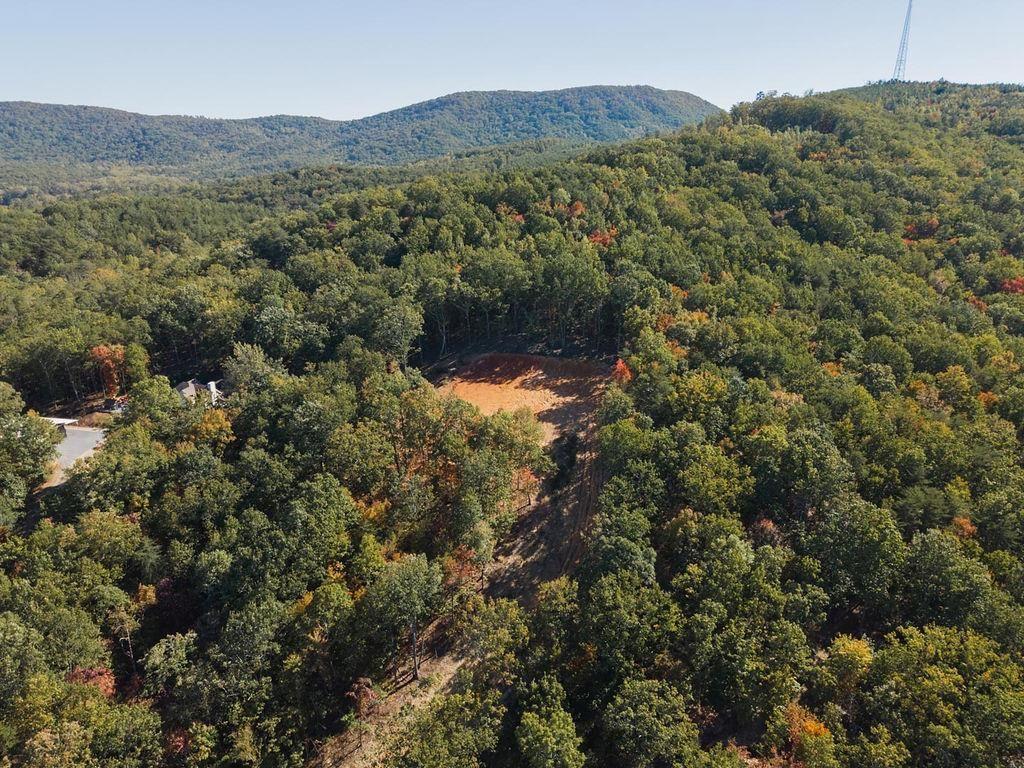 34 East Heritage Drive Rydal, GA 30171 - Photo 7 of 27 a view of a forest with mountains in the background