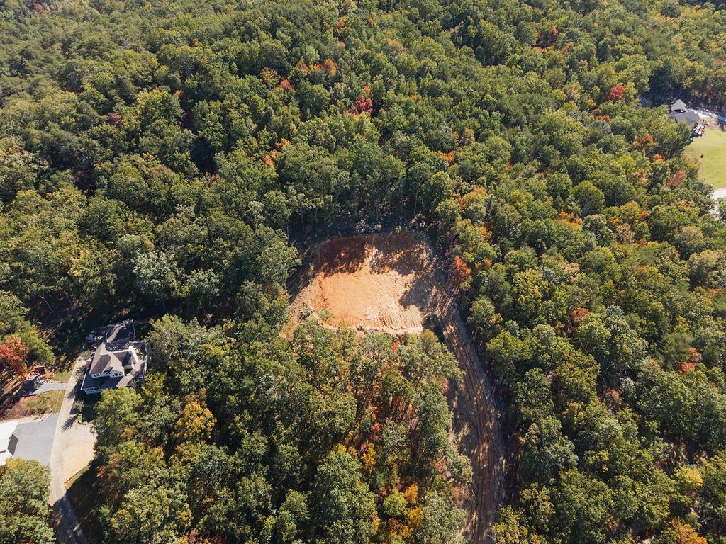 34 East Heritage Drive Rydal, GA 30171 - Photo 8 of 27 a view of a forest with a tree