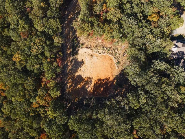 a view of a yard with trees