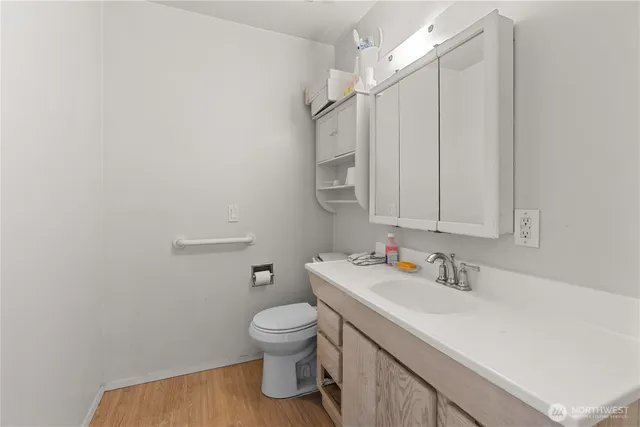 a bathroom with a sink toilet and vanity