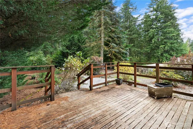 a park view with a bench and trees