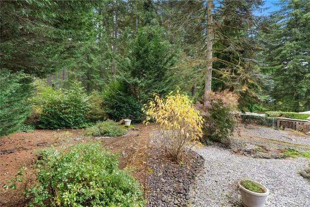 a view of a yard with plants and trees