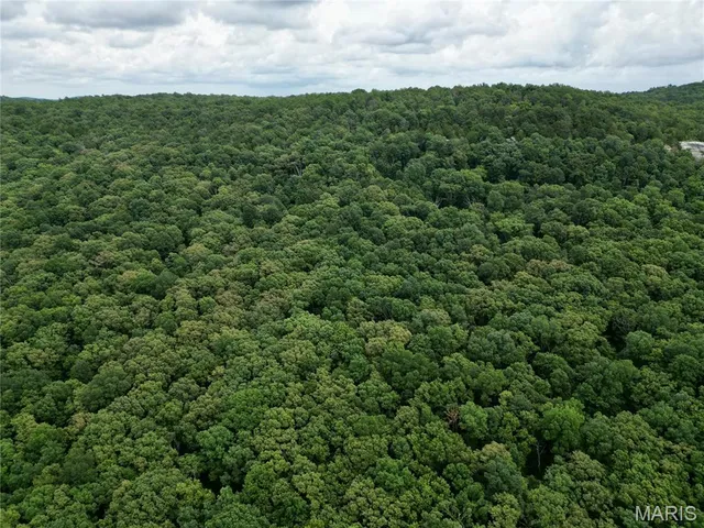 $205,000 | 0 Stoneface Road, Harrisburg, IL 62946