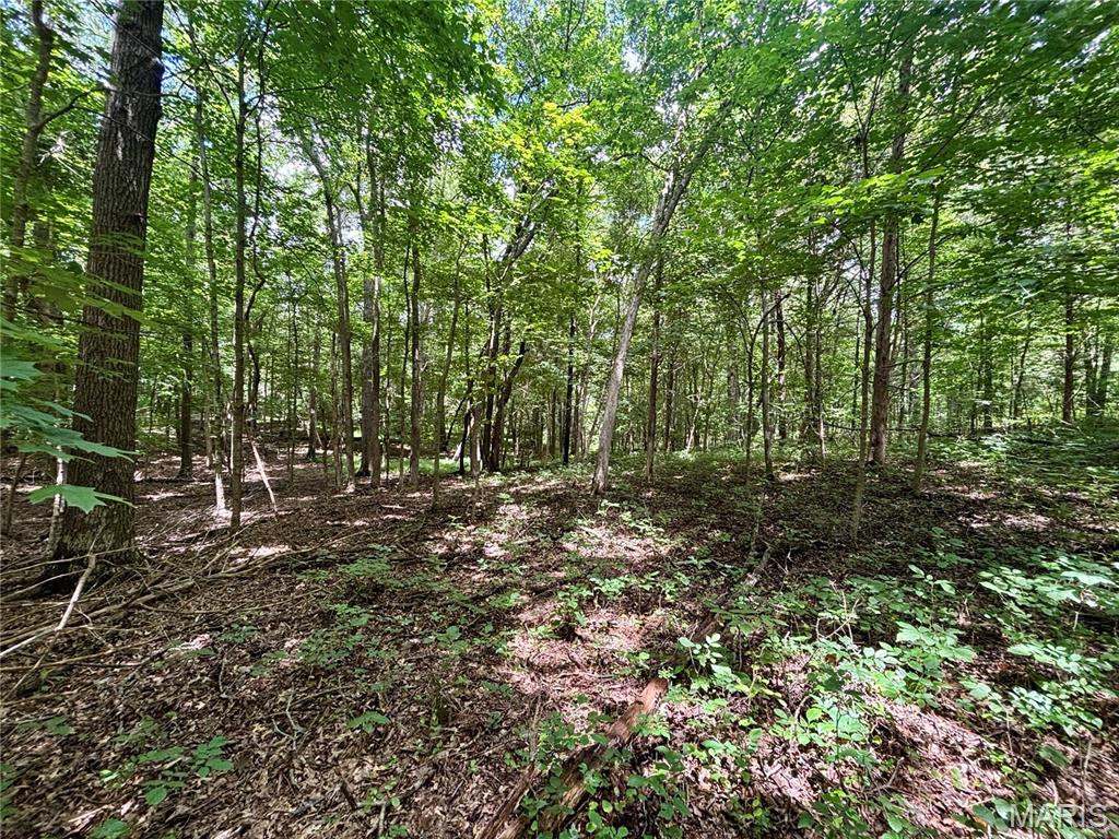 0 Stoneface Road Harrisburg, IL 62946 - Photo 11 of 13