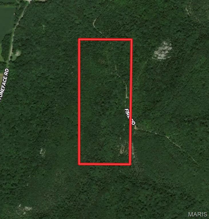 0 Stoneface Road Harrisburg, IL 62946 - Photo 12 of 13