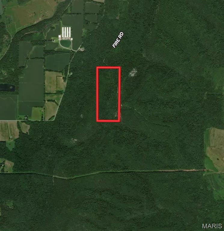 0 Stoneface Road Harrisburg, IL 62946 - Photo 13 of 13