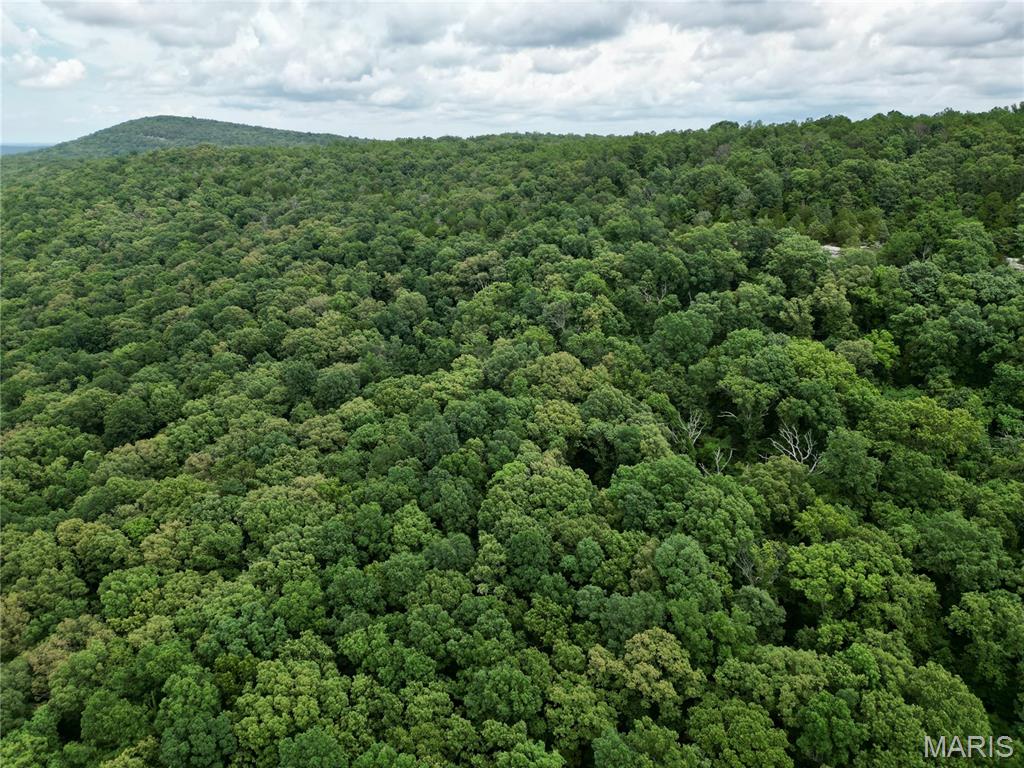 0 Stoneface Road Harrisburg, IL 62946 - Photo 2 of 13