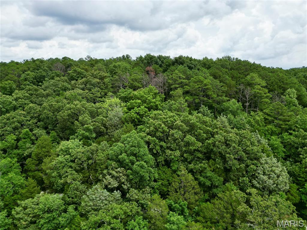 0 Stoneface Road Harrisburg, IL 62946 - Photo 3 of 13