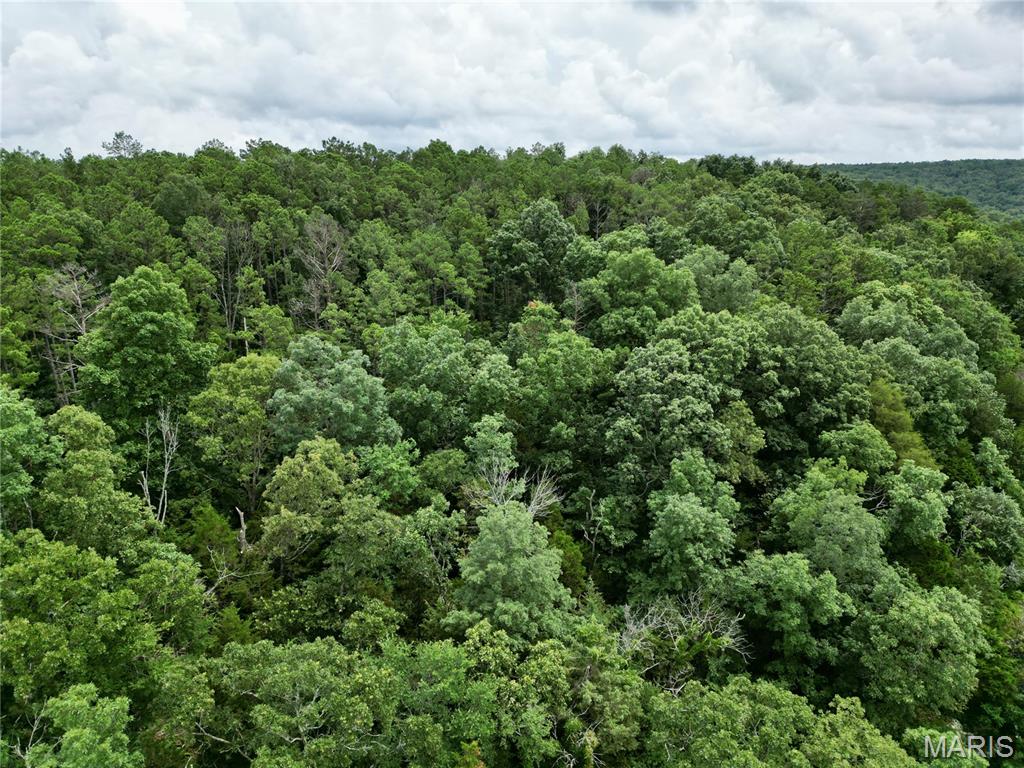 0 Stoneface Road Harrisburg, IL 62946 - Photo 4 of 13