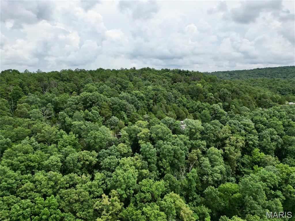 0 Stoneface Road Harrisburg, IL 62946 - Photo 5 of 13