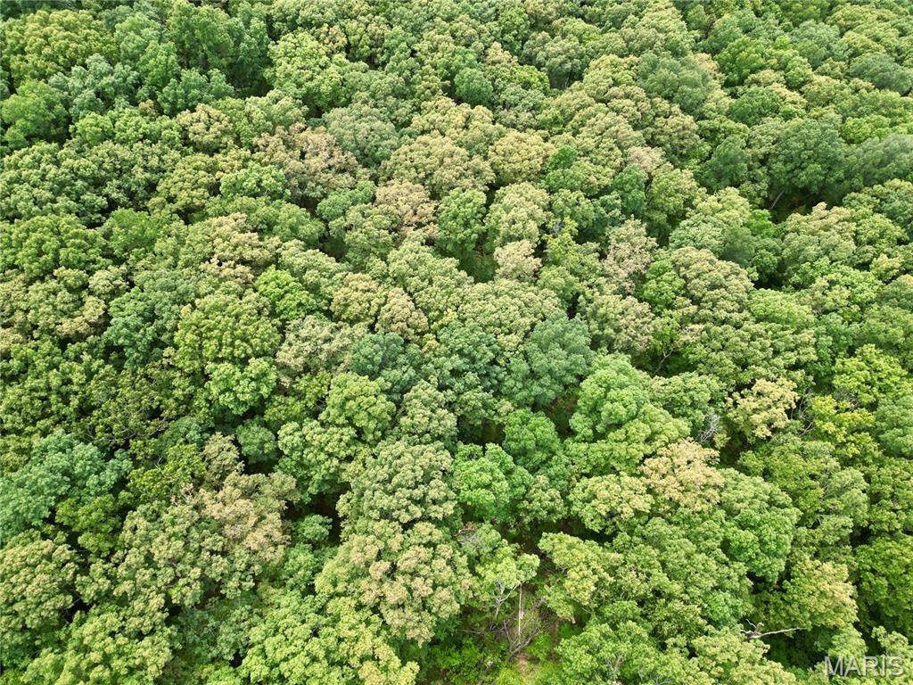 0 Stoneface Road Harrisburg, IL 62946 - Photo 6 of 13