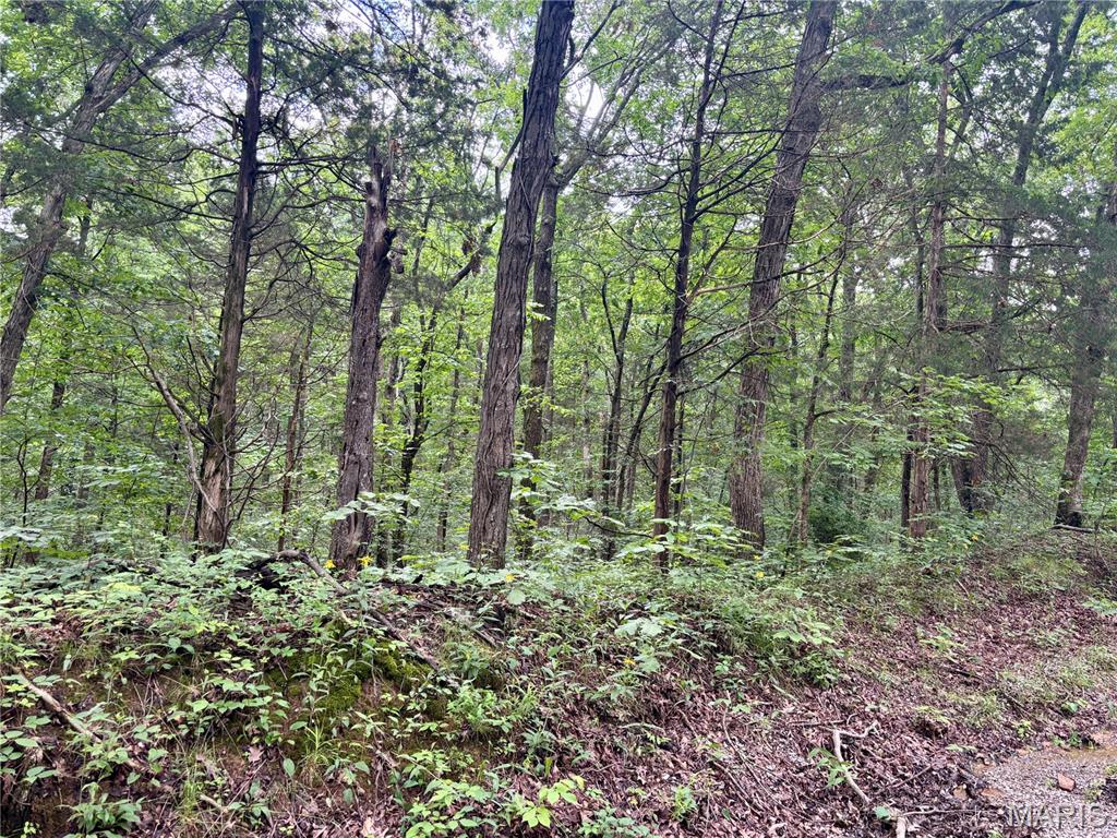 0 Stoneface Road Harrisburg, IL 62946 - Photo 7 of 13