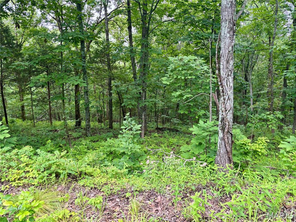 0 Stoneface Road Harrisburg, IL 62946 - Photo 9 of 13