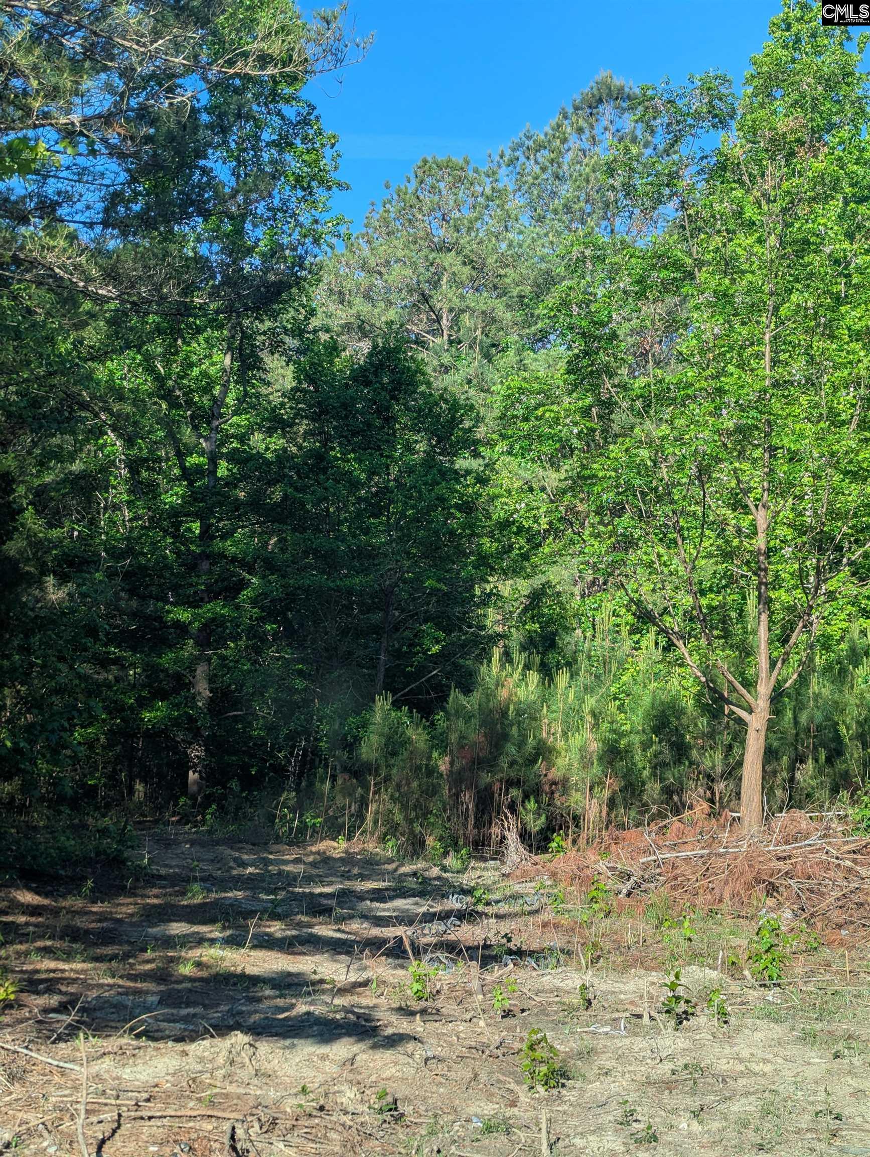 1089 Chestnut Hill Road Elgin, SC 29045 - Photo 16 of 17