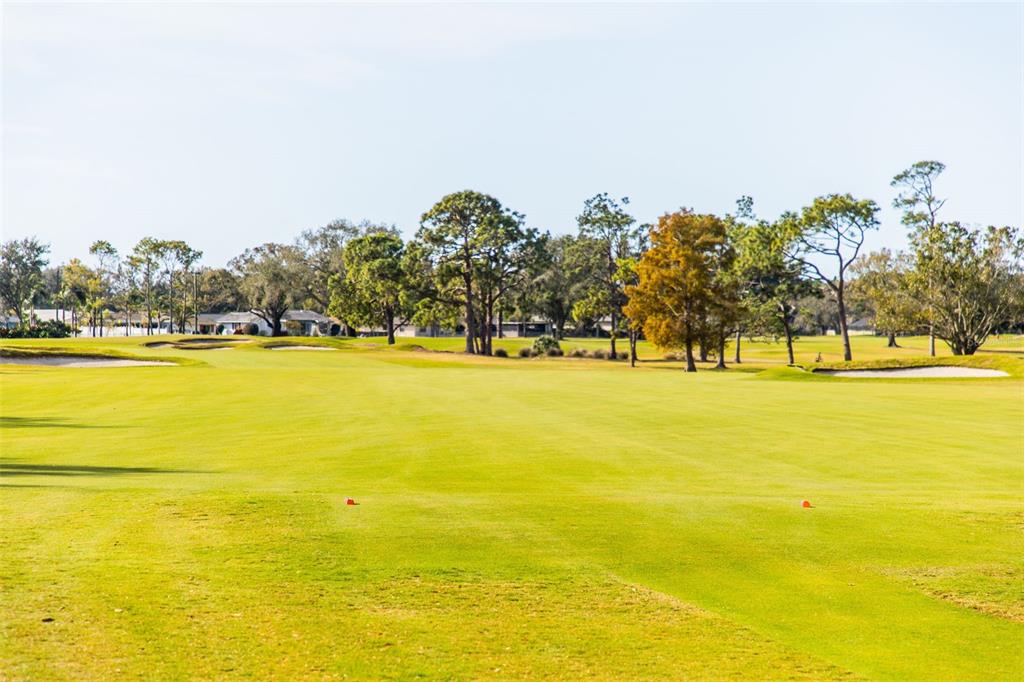 703 Whitfield Avenue Sarasota, FL 34243 - Photo 71 of 78