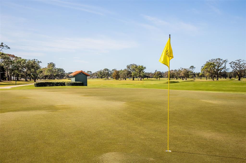 703 Whitfield Avenue Sarasota, FL 34243 - Photo 74 of 78