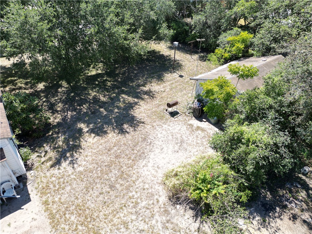 712 East 2nd Street Alice, TX 78332 - Photo 23 of 25 a view of a yard with plants and a trees