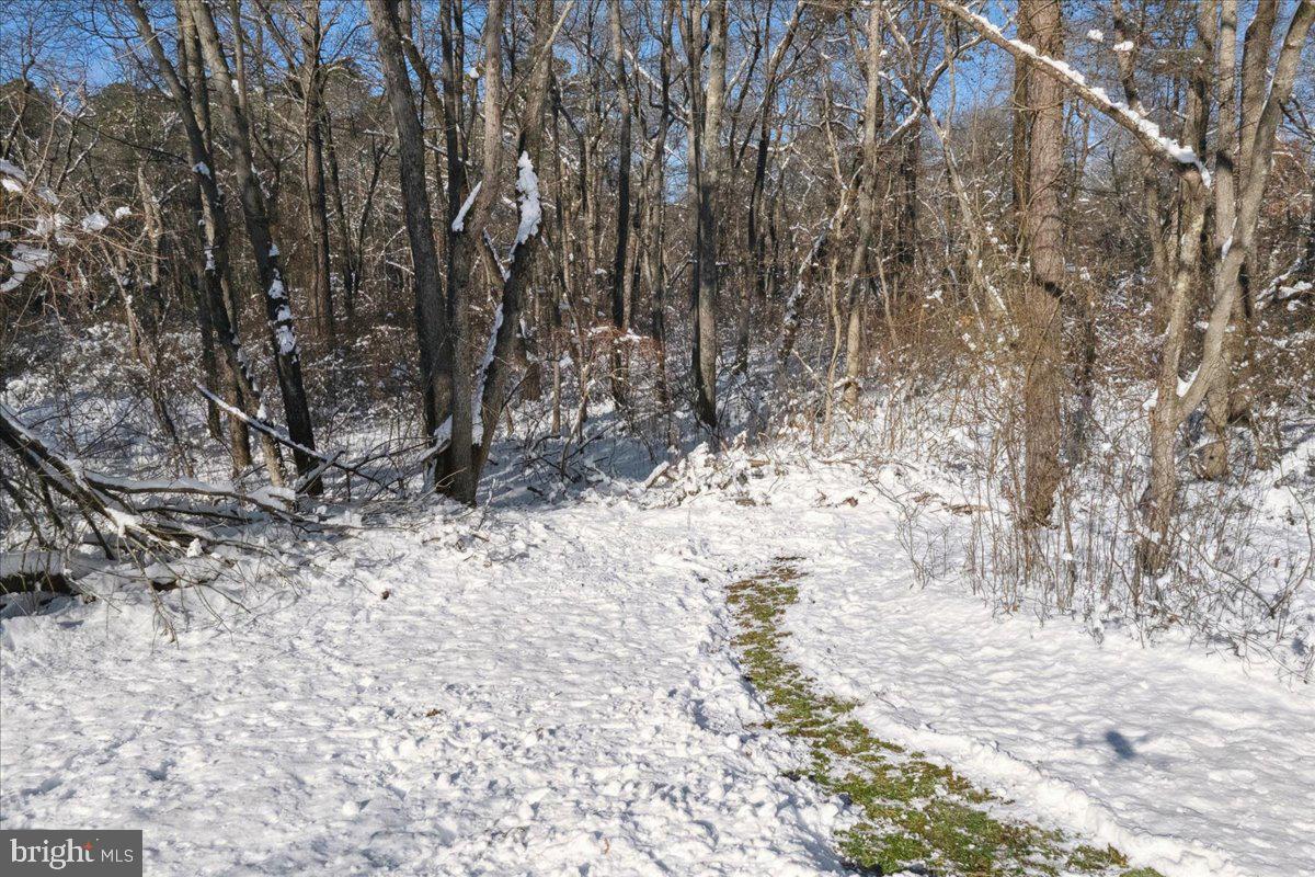 41 Sweet Gum Road Howell, NJ 07731 - Photo 32 of 52