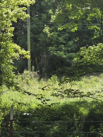 $270,000 | 0 Difficult Lane, Pleasant Shade, TN 37145