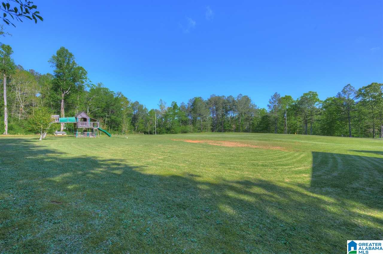 8480 Rocky Br Road Gardendale, AL 35071 - Photo 3 of 25