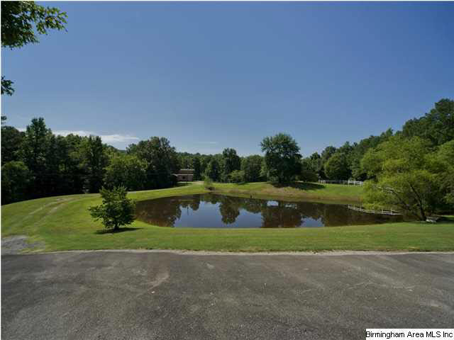 5339 County Road 11 Pelham, AL 35124 - Photo 30 of 32