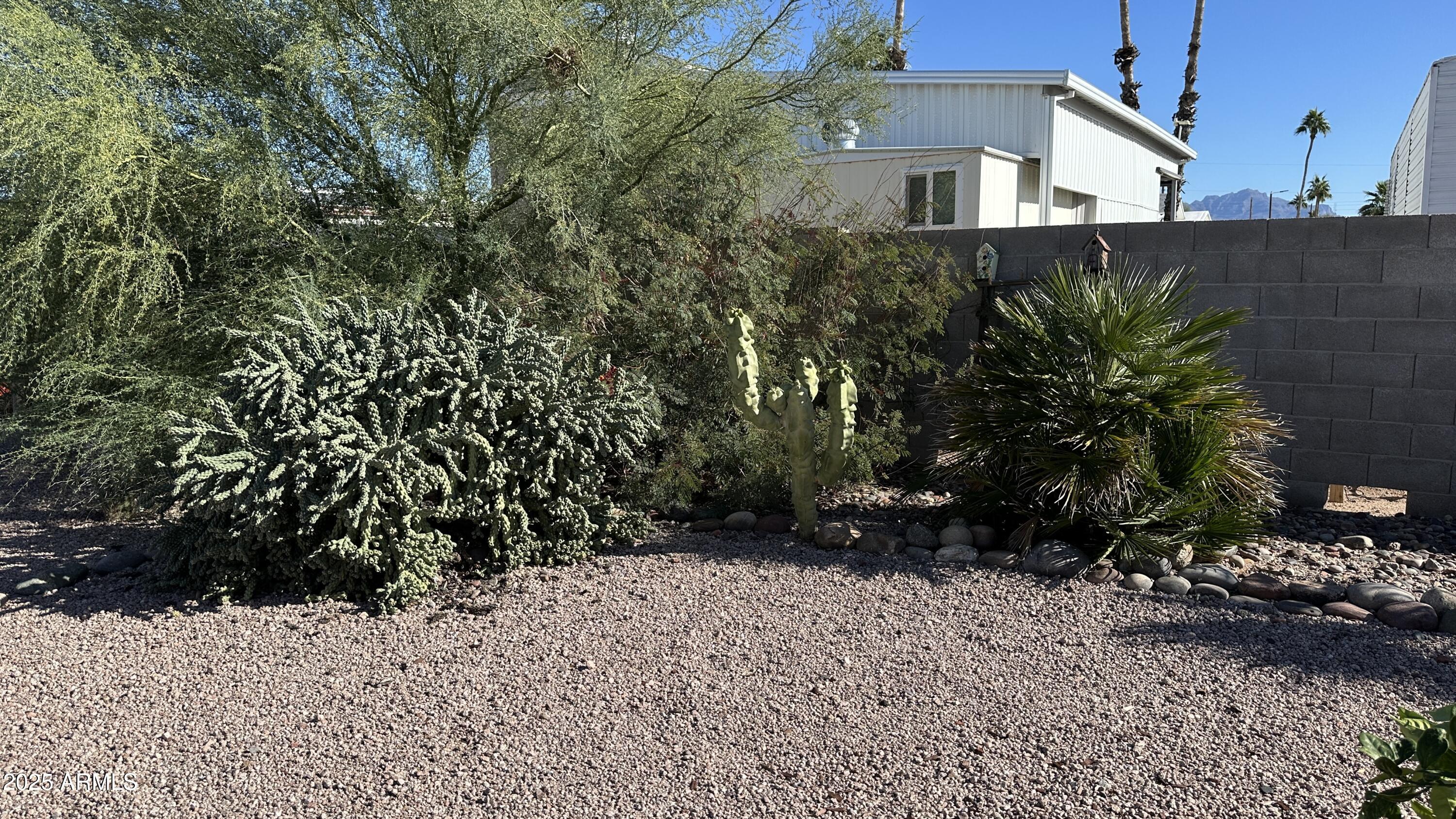 834 South Meridian Road, Unit 105 Apache Junction, AZ 85120 - Photo 39 of 48 a view of a backyard