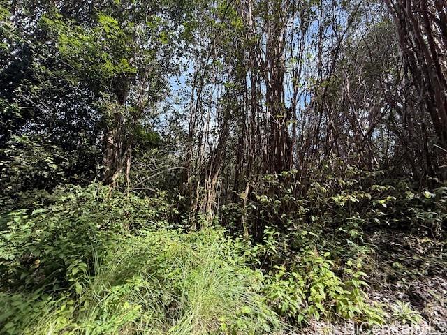 17-3352 Maunalani Road Mountain View, HI 96771 - Photo 3 of 9 a view of a yard