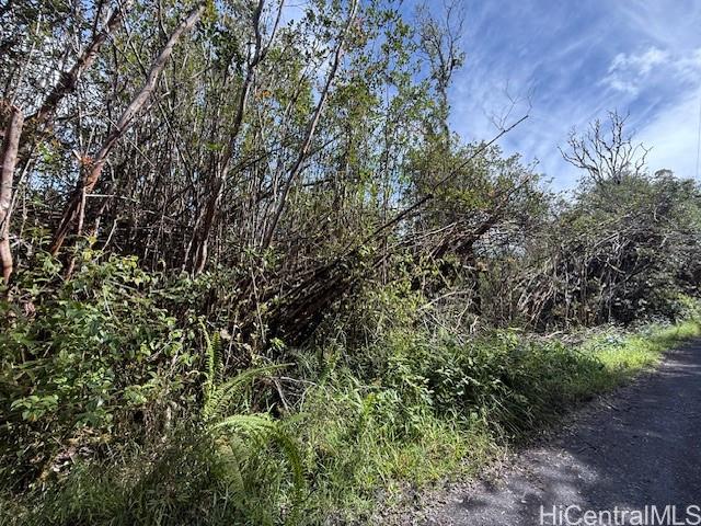 17-3352 Maunalani Road Mountain View, HI 96771 - Photo 6 of 9